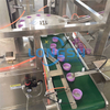 Machine d'ouate de capuchon en plastique d'automatisation Fournisseur de machines d'insertion de joint de bourre de doublure de capuchon