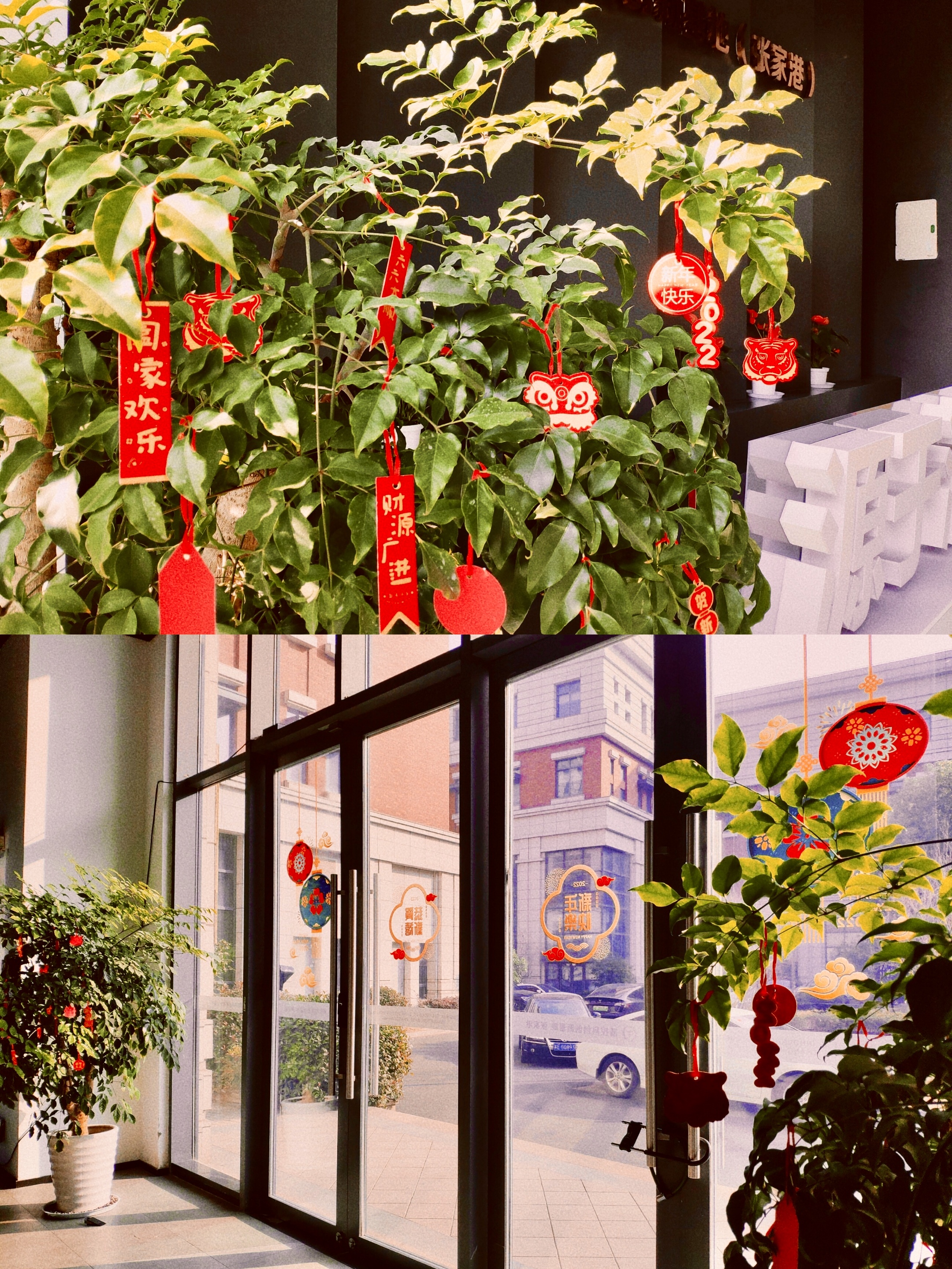 machine &agrave; rev&ecirc;tement de plaquettes